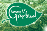 Rammes Grünland